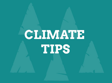 Read our tips