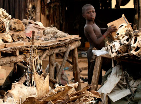 VOODOO MARKETS IN WEST AFRICA