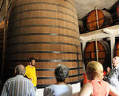 Winery visits