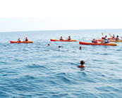 Sea kayaking