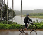 Cycling