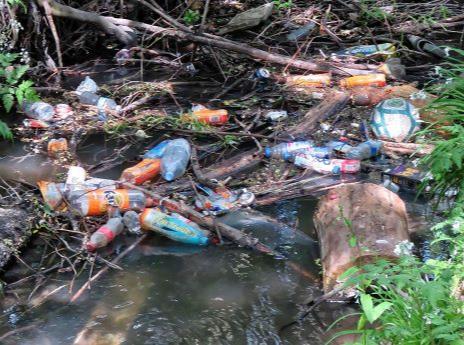 How tourism can protect rivers
