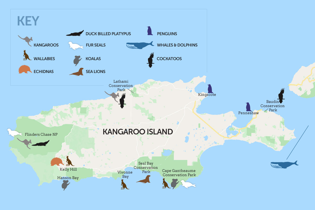 Dtg Cr10506 KangarooIsland Wildlife Map 