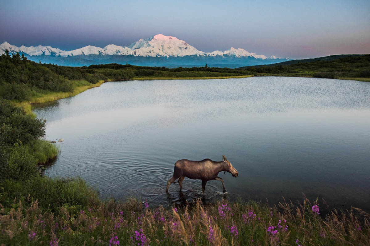 Denali National Park & Preserve, Alaska