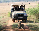 Wheelchair accessible travel