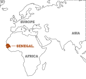 A Local's Guide to Senegal