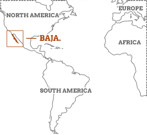Baja California Peninsula Map Baja California Travel Guide