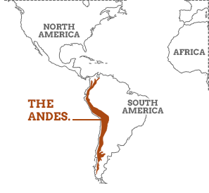 Dtg Nc5450 Andes Summary Map 