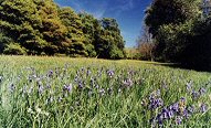 Shropshire countryside, Shropshire self catering accommodation