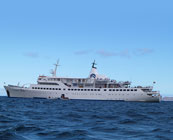 Oversized ships