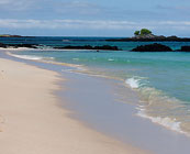 Tranquil beaches