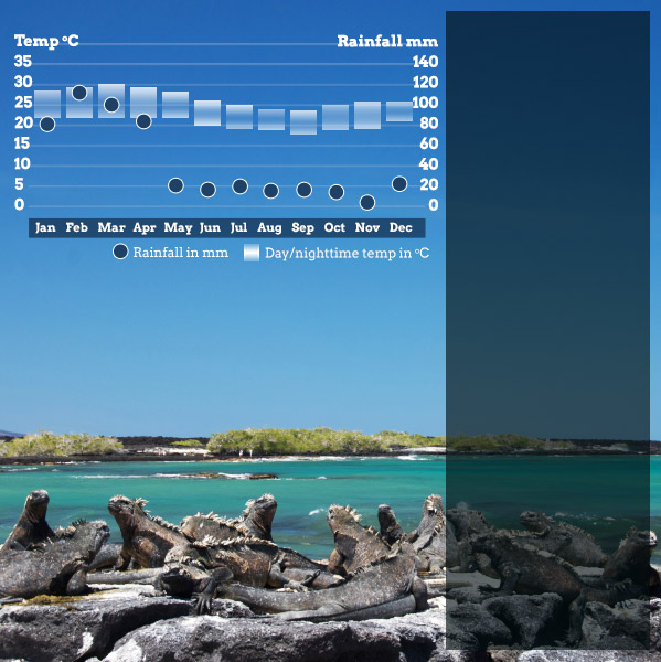 Best time to visit Galapagos. Responsible travel guide to when to visit