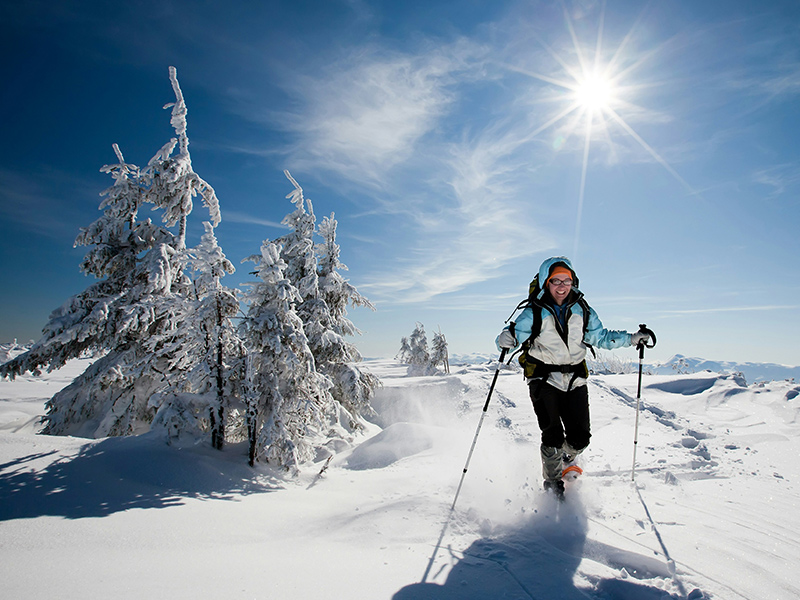 Our winter holidays  