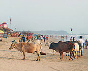 Indian beach culture
