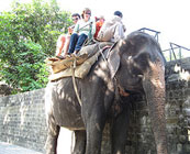 Riding on elephants