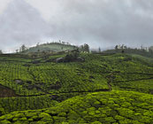 Hiking in the Ghats, Kerala