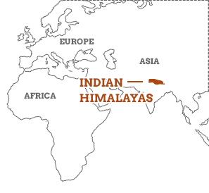 Himalayas On A Map India Himalayas Travel Guide