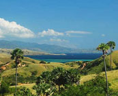 Rinca