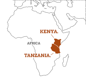 Kenya Tanzania Travel Guide