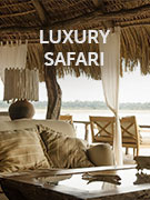Luxury safaris