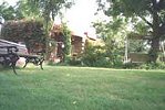 The garden at Jodhpur accommodation & guesthouse, Rajasthan