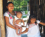 Indigenous culture