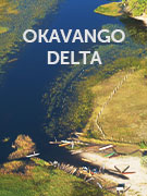 Okavango Delta