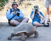 Wildlife holidays