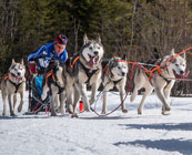 Piste palavers