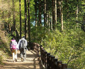 Walking trails in Japan