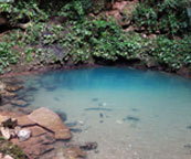 St. Herman’s Blue Hole National Park