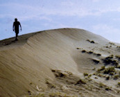 Gobi Desert