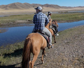 Horse trekking