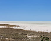 Etosha National Park