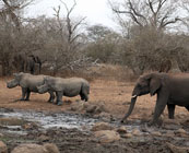Kruger National Park