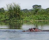 The Okavango Delta