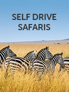 Self drive safaris