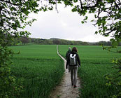Pilgrims’ Way