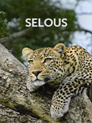 Selous (Nyerere National Park)