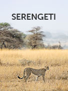 Serengeti