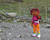 Charity climbs