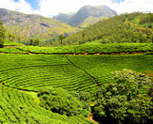 Karnataka