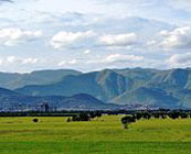 Western Ghats mountains