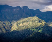 The Knuckles Ranges