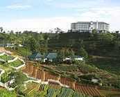 Nuwara Eliya
