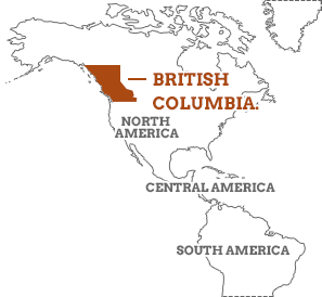British Columbia In World Map British Columbia Travel Guide