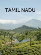 Tamil Nadu
