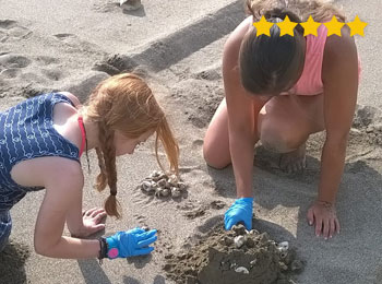 Family turtle volunteering in Costa Rica