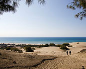 Beaches