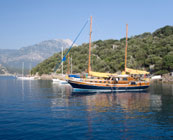 Gulet cruises